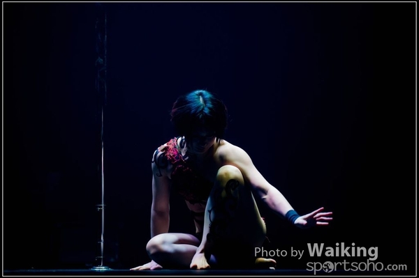 2015-11-27 Pole Dance 0324