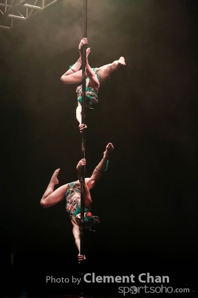 IPC 2015_207