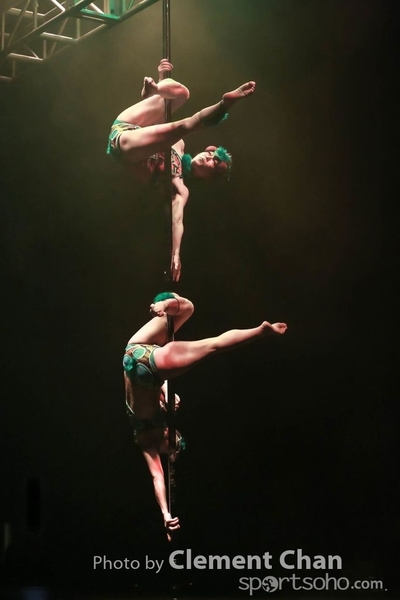 IPC 2015_211