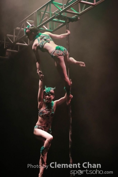 IPC 2015_212