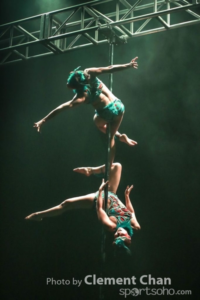 IPC 2015_219