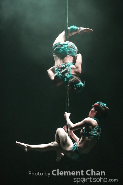 IPC 2015_223