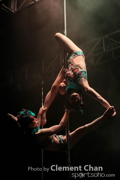 IPC 2015_230