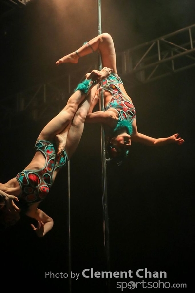 IPC 2015_238