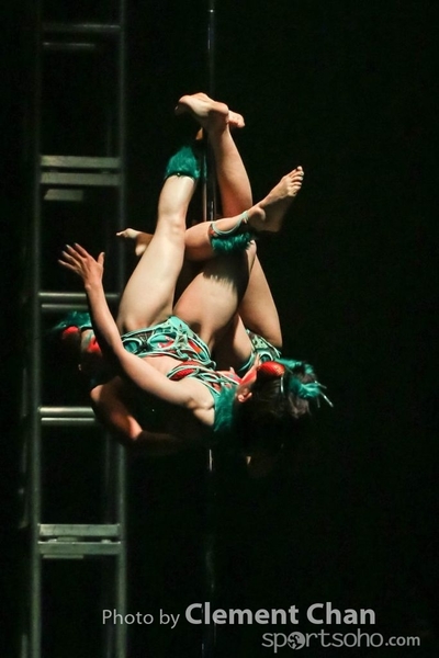 IPC 2015_253