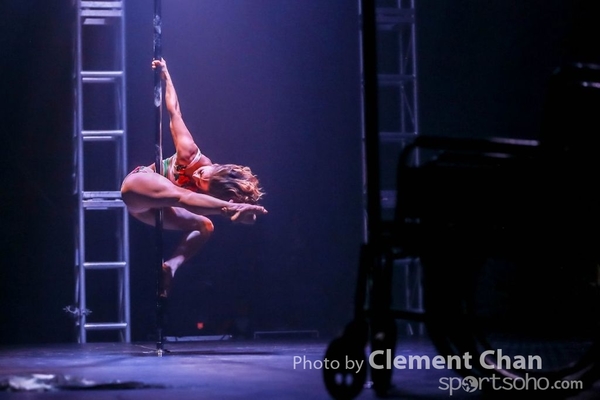 IPC 2015_261