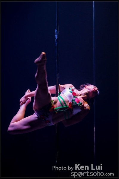 20151127pole268
