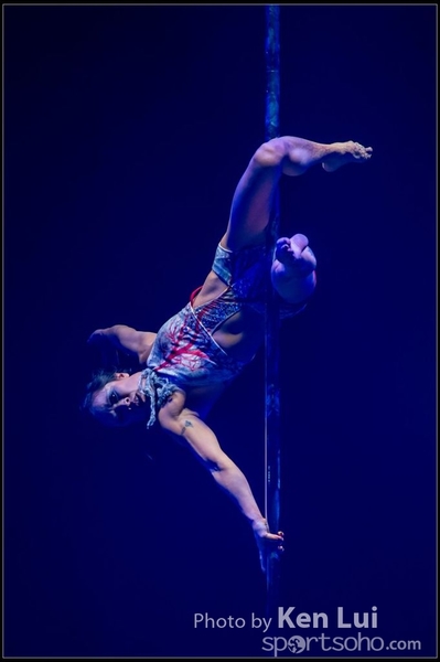 20151127pole441