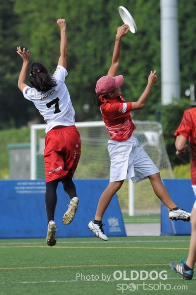 WFDF (3)
