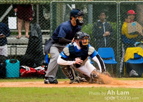 TOTO WBSC  (3)