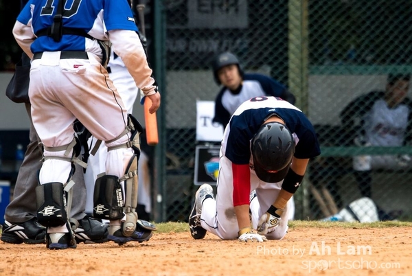 TOTO WBSC  (28)