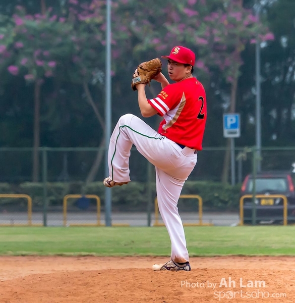 TOTO WBSC  (37)