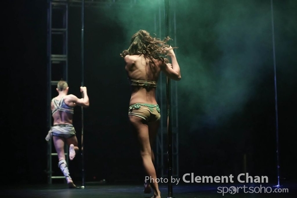 IPC 2015_509