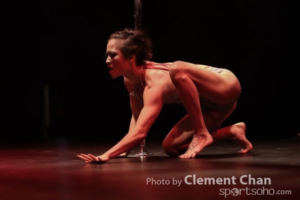 IPC 2015_619