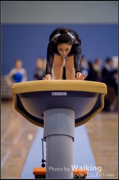 2015-12-13 Artistic Gym 0008