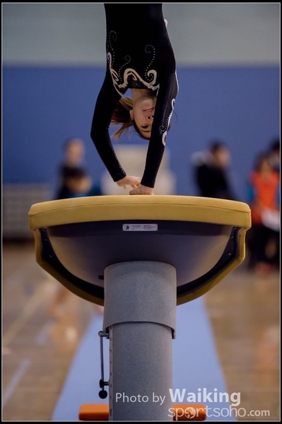 2015-12-13 Artistic Gym 0012