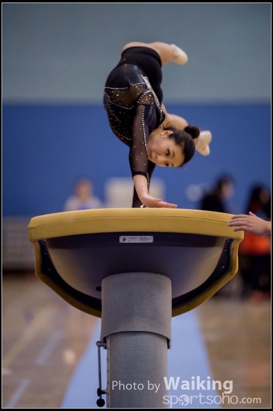 2015-12-13 Artistic Gym 0014