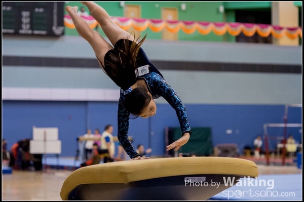 2015-12-13 Artistic Gym 0021