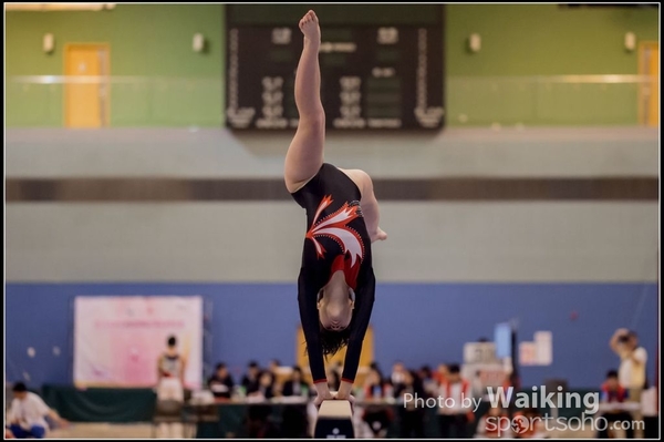 2015-12-13 Artistic Gym 0033