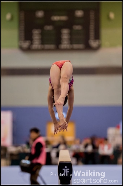 2015-12-13 Artistic Gym 0091