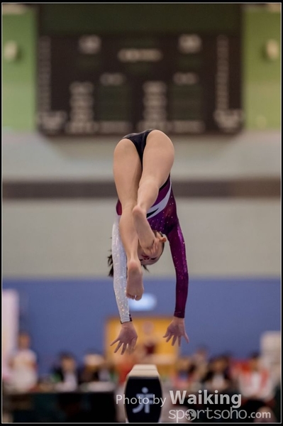 2015-12-13 Artistic Gym 0105