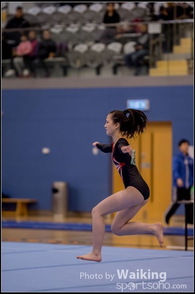 2015-12-13 Artistic Gym 0223