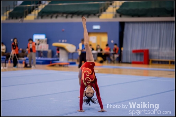 2015-12-13 Artistic Gym 0286