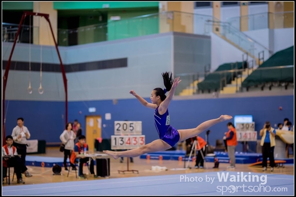 2015-12-13 Artistic Gym 0293