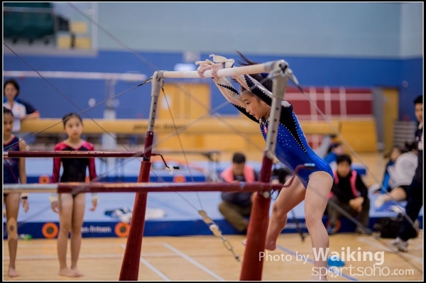 2015-12-13 Artistic Gym 0327