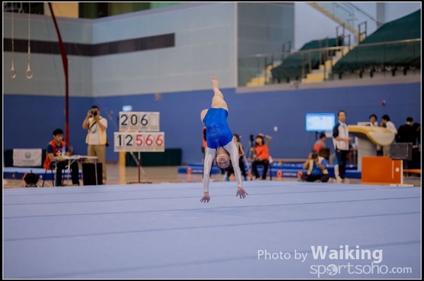 2015-12-13 Artistic Gym 0342