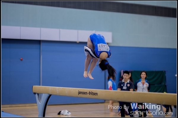 2015-12-13 Artistic Gym 0407