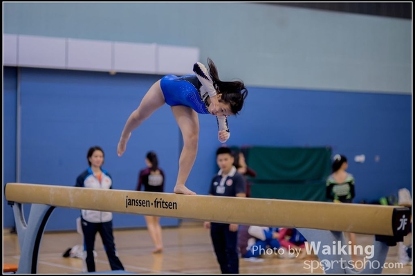 2015-12-13 Artistic Gym 0409