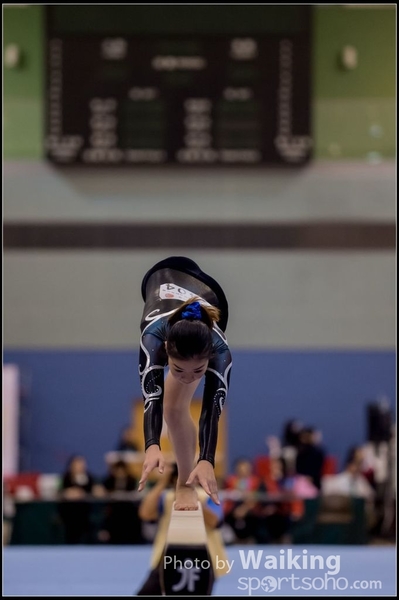 2015-12-13 Artistic Gym 0436