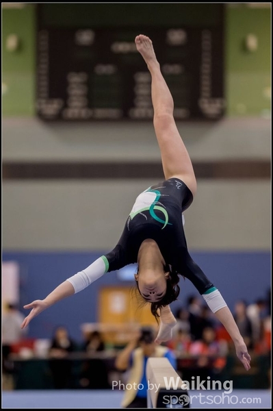 2015-12-13 Artistic Gym 0446
