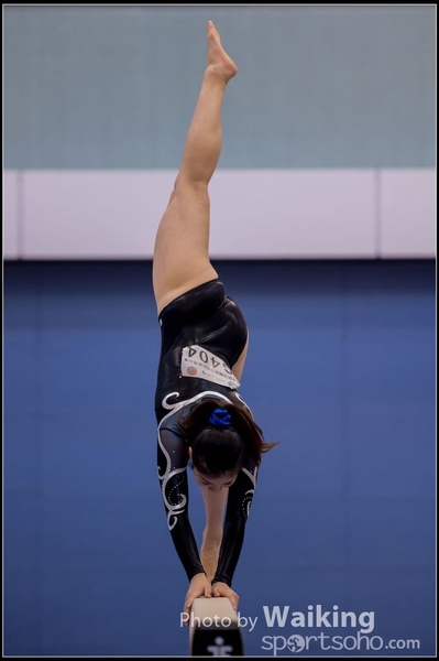 2015-12-13 Artistic Gym 0483