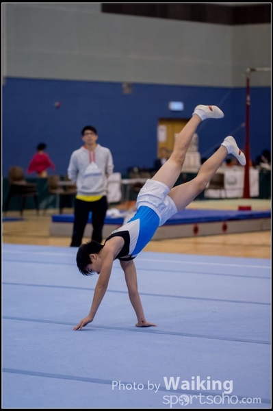 2015-12-13 Artistic Gym 0501