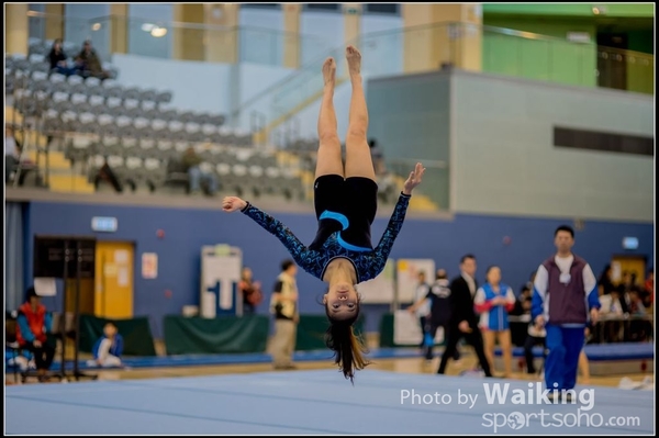 2015-12-13 Artistic Gym 0530