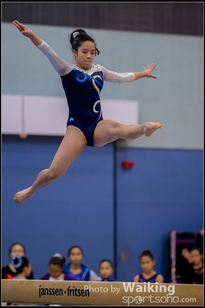 2015-12-13 Artistic Gym 0533