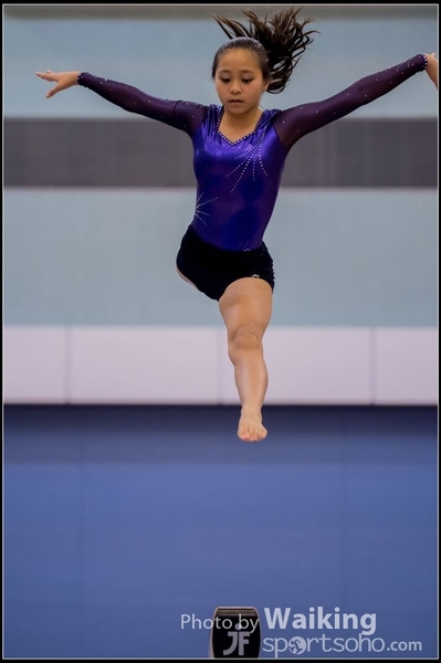 2015-12-13 Artistic Gym 0621