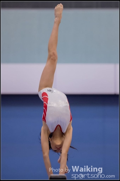2015-12-13 Artistic Gym 0628