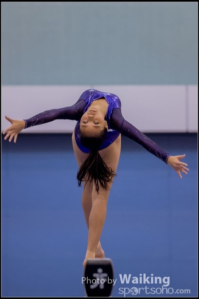 2015-12-13 Artistic Gym 0705