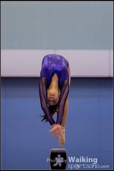 2015-12-13 Artistic Gym 0706