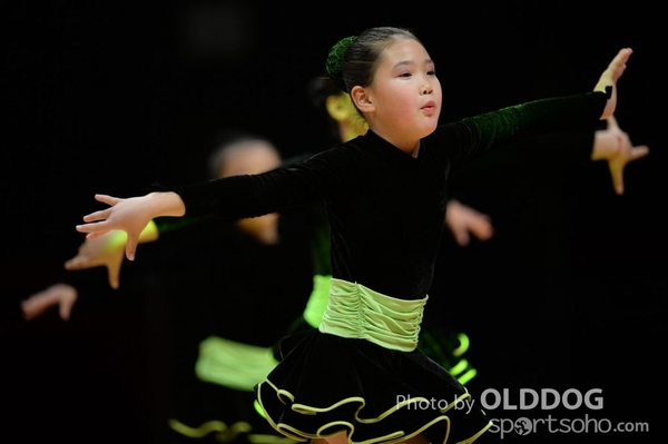 Dance Sport (43)