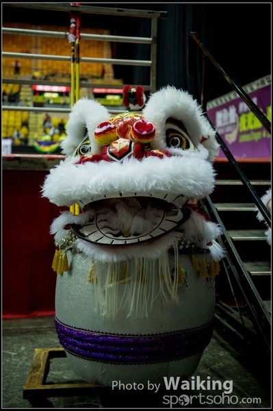 2016-01-09 Lion & Dragon Dance 0002