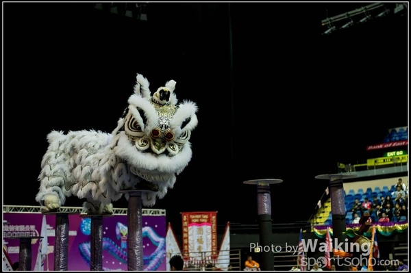2016-01-09 Lion & Dragon Dance 0008