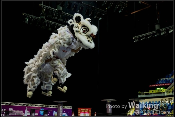 2016-01-09 Lion & Dragon Dance 0010