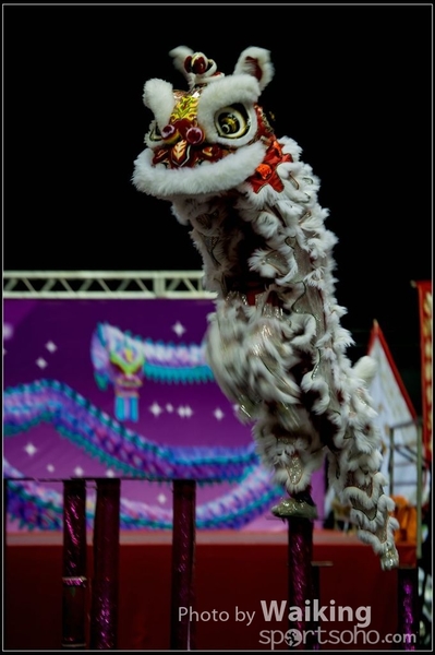 2016-01-09 Lion & Dragon Dance 0019