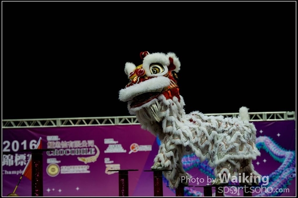 2016-01-09 Lion & Dragon Dance 0022