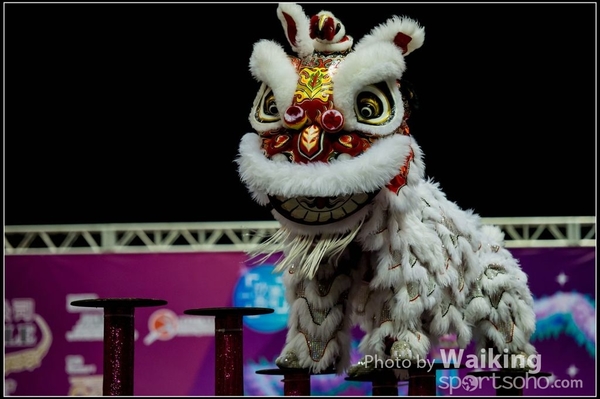 2016-01-09 Lion & Dragon Dance 0023