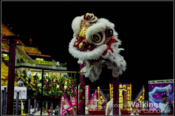 2016-01-09 Lion & Dragon Dance 0031